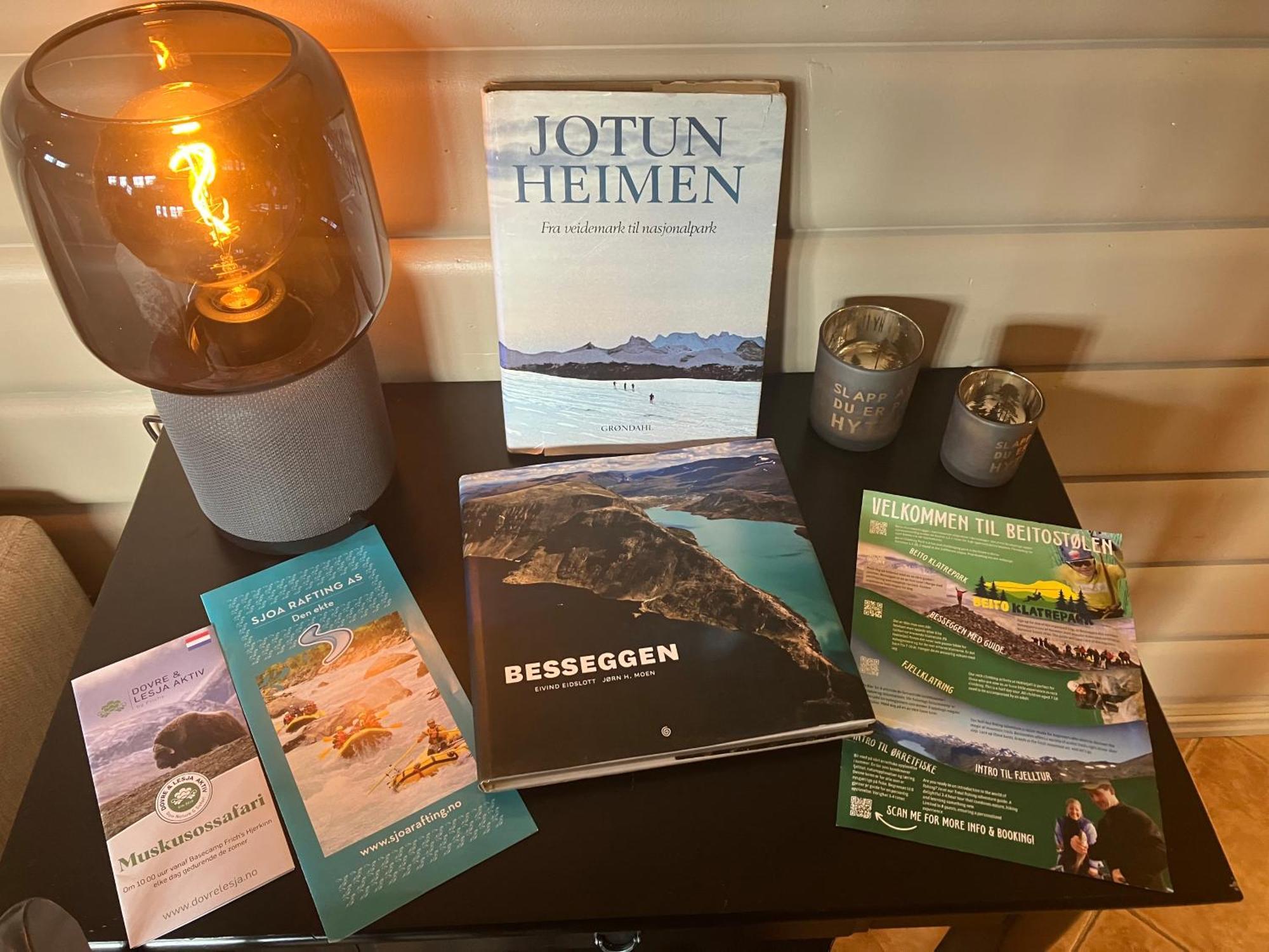 Beitostolen! Midt I Sentrum! In Out! Badstue-massasjedusj-steamdusj